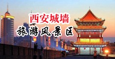 老外操逼爽片中国陕西-西安城墙旅游风景区